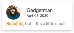 Profile picture of an illustrated lion with username Gadgetman, date April 08, 2020, and highlighted text saying: Beautiful, but... It's a little small...
