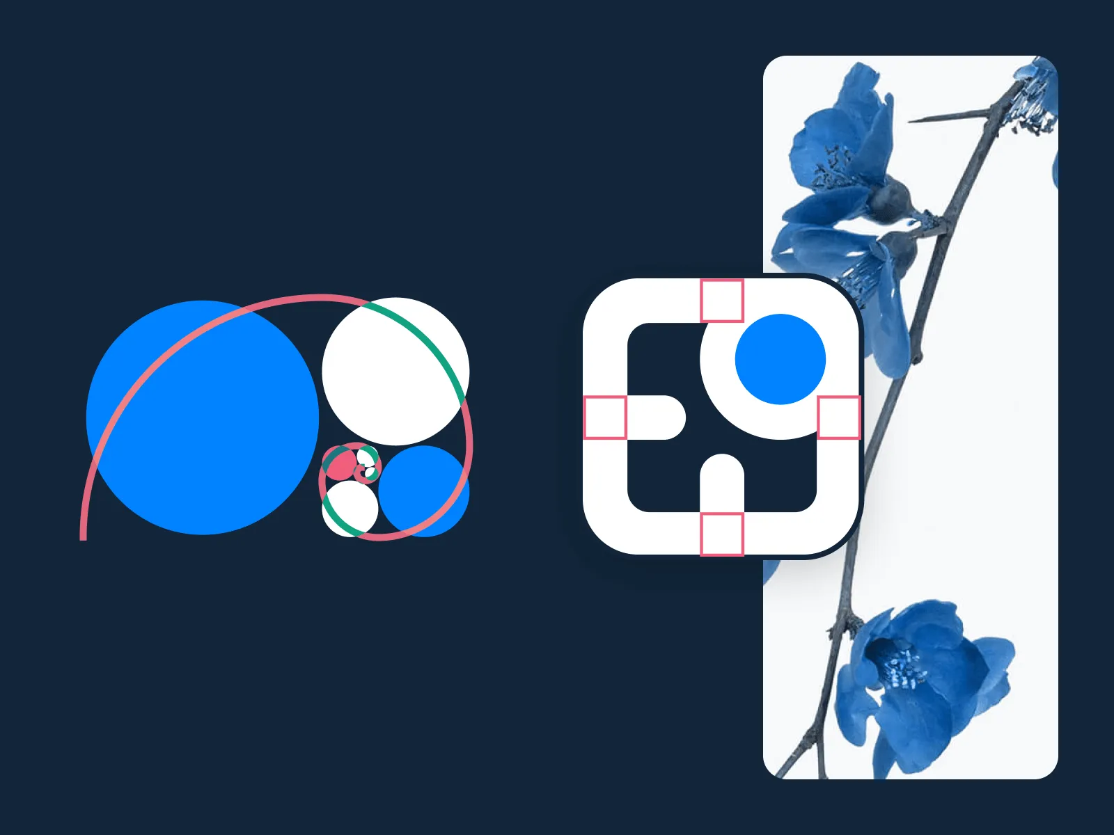SaaS brand identity showing logo, colour palette, and UI element system